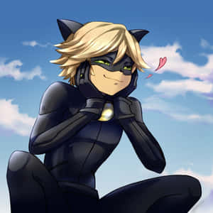 Picha za Cat Noir