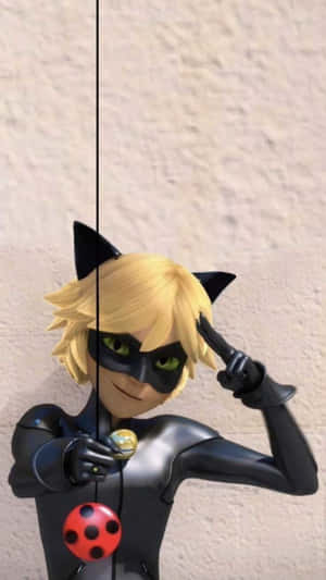Picha za Cat Noir