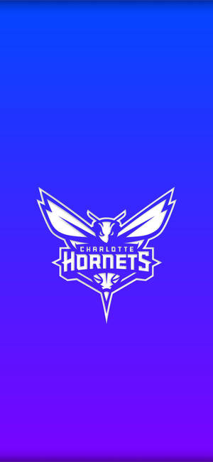 Charlotte Hornets Gradient Blue wallpaper — iPhone 17 Picha ya Ukuta