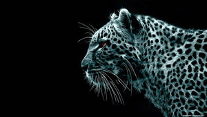 Wallpaper ya cheetah mwanga wa machungwa juu ya mwanga wa mwekundu