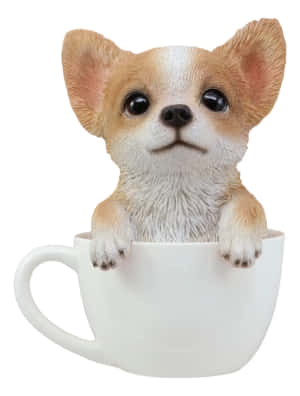 Picha za Chihuahua wa Teacup — iPad 9th Generation Picha ya Ukuta