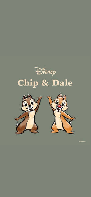 Chip N Dale On Gray Backdrop wallpaper — Huawei Pura 80 Pro Picha ya Ukuta