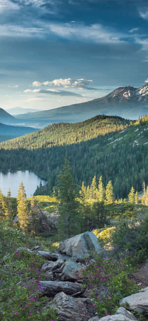 Iphone X California Background — Galaxy F56 Picha ya Ukuta