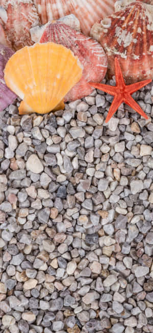 Iphone X Summer Background — Oppo F33 Pro Picha ya Ukuta