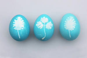 Three blue or teal Easter eggs with white leaves painting, Easter wallpaper — 3:2 Picha ya Ukuta