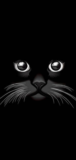 Cool Black Cat — Samsung S23 Picha ya Ukuta