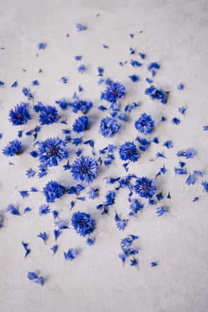 Crushed Petals Of Blue Flowers Phone — Huawei MatePad 11.5 (2026) Picha ya Ukuta