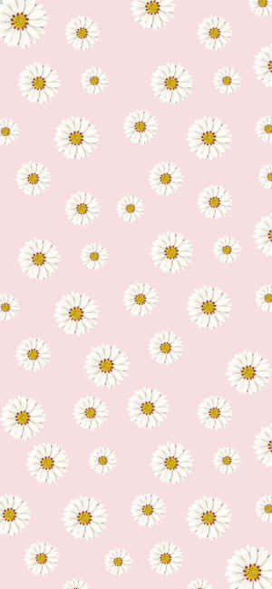 Pink Aesthetic Background — Nubia Neo 5 Picha ya Ukuta