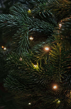 Dark Christmas Scene — IQOO Pad5 Pro Picha ya Ukuta