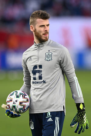 David De Gea Gray Spanish Kit — Huawei MatePad Air (2025) Picha ya Ukuta