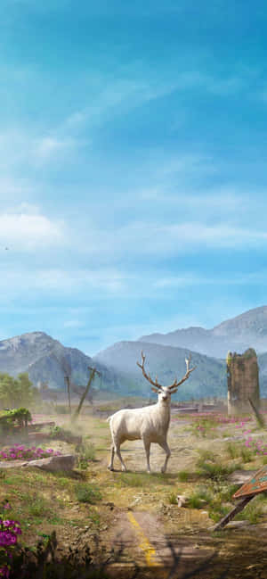 Iphone Xs Max Far Cry 5 Background — Fairphone 6 Picha ya Ukuta