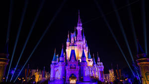 Disneyworld Mjini