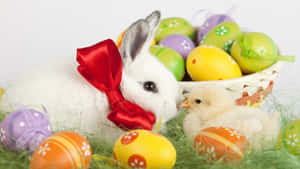 Easter Bunny Mwenye Upendo na Mazingira ya Kijani ya Mwitu
