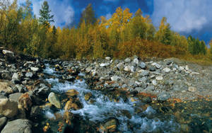Amazing river with numerous stone wallpaper