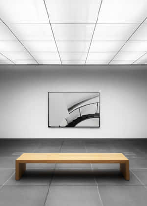 Museum background — Vivo Pad5 Picha ya Ukuta