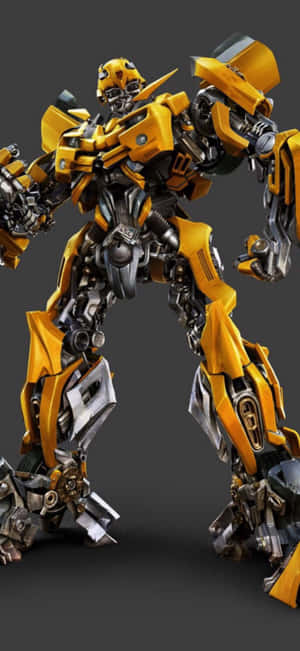 Bumblebee Pictures — Tecno Camon 50 Pro Picha ya Ukuta