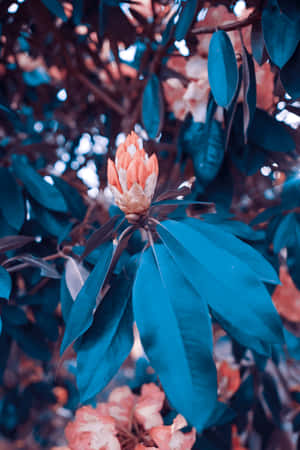Unique pictures — Huawei MatePad Edge Picha ya Ukuta