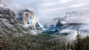 Foggy Scenic Landscape wallpaper