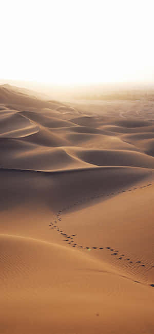 Desert Iphone — Xiaomi 17 Pro Max Picha ya Ukuta