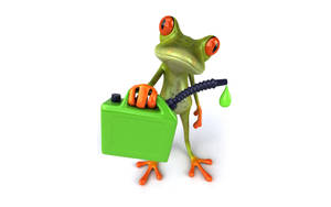 Frog Mrembo Wenye Kifaa cha Petroli wallpaper