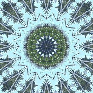 Kususa Trippy