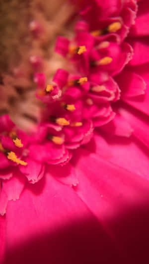 1440x2560 — 1440x2560 Picha ya Ukuta