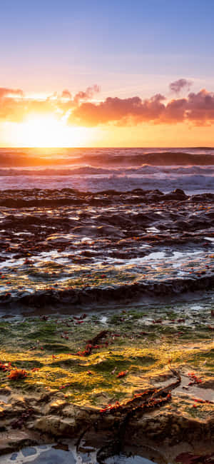 Iphone X California Mandhari — Vivo S30 Picha ya Ukuta