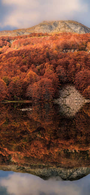 Iphone Xs Max Autumn Background — OnePlus Ace Picha ya Ukuta