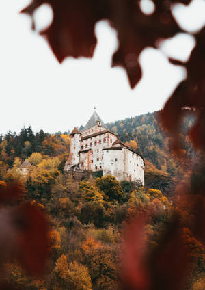 Preview wallpaper castle, architecture, hill, forest — Oppo Pad 6 Picha ya Ukuta