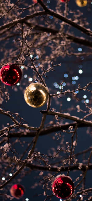 Christmas Iphone background — OnePlus N6x Picha ya Ukuta