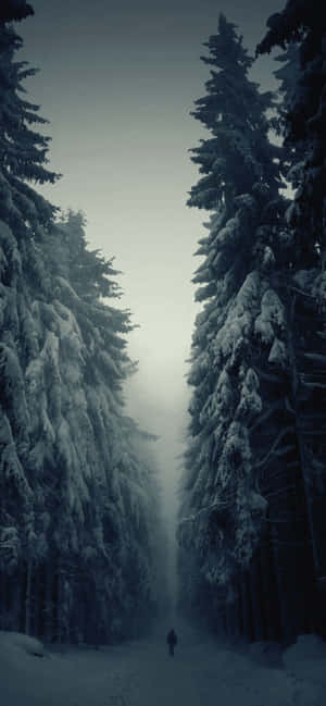 Iphone Xs Max Winter Background — Moto G17 Power Picha ya Ukuta