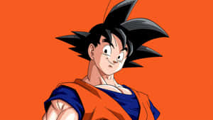 Picha za Dragon Ball — Dragon ball Picha ya Ukuta