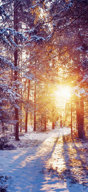 Iphone Xs Max Winter Background — Moto G77 Picha ya Ukuta