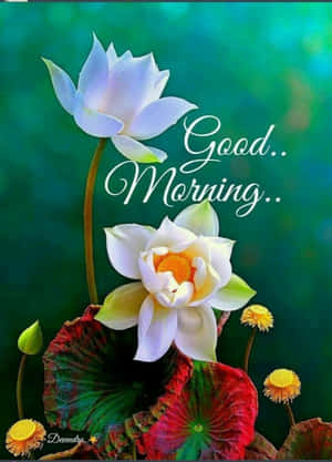 Good Morning Flower Pictures — Realme Pad 3 Picha ya Ukuta