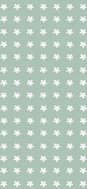 Green Aesthetic background — iPhone 14 Pro Picha ya Ukuta