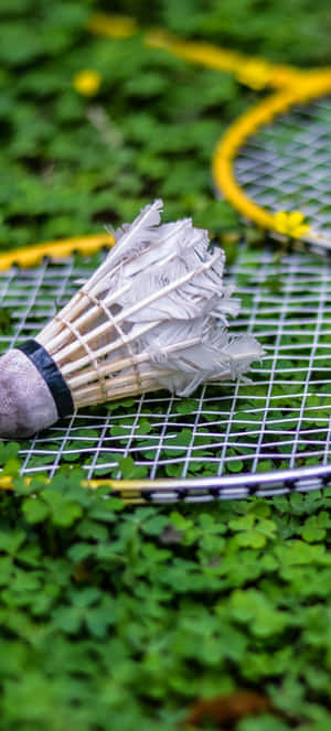 Pixel 3 Badminton Background — Moto E14 Picha ya Ukuta