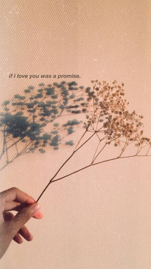 Gypsophila ya Beige ya Kupendeza — Aesthetic beige Picha ya Ukuta