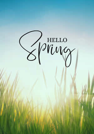 Asili Bora ya Spring — Vivo Pad5e Picha ya Ukuta