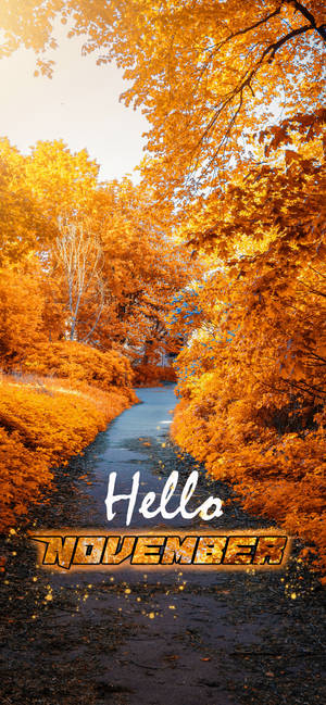 Hello Novemba njia ya bustani ya majani ya dhahabu wallpaper