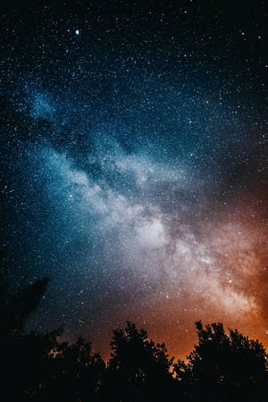 High Resolution Star And Trees — Xiaomi Pad 7 Ultra Picha ya Ukuta