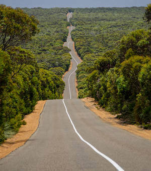 Highway 1 Of Australia wallpaper — Vivo X Fold3 Pro Picha ya Ukuta