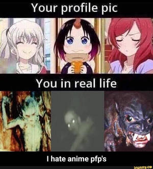Hilarious Meme PFP — Honor Magic V Flip 2 Picha ya Ukuta