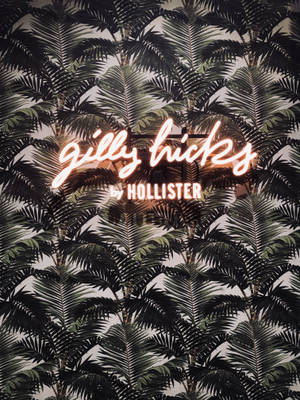 Hollister majani ya mti wa palm wallpaper — 3:4 Picha ya Ukuta