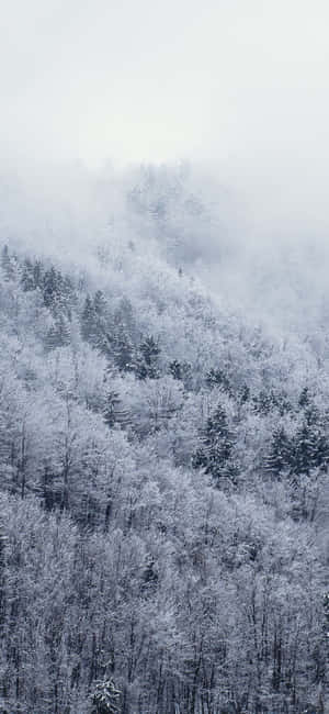 Snow Iphone — iPhone 18 Pro Max Picha ya Ukuta