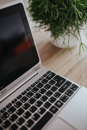 Imeandika iPhone na Mimea ya Kijani — MacBook Picha ya Ukuta