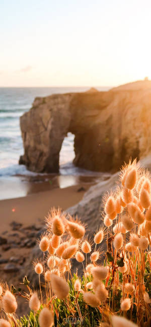 Iphone 12 Pro Max Pwani la Bahari wallpaper — iPhone 12 Pro Max Picha ya Ukuta