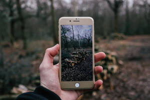 mtu anayekuwa picha ya firewoods kwa kutumia iPhone