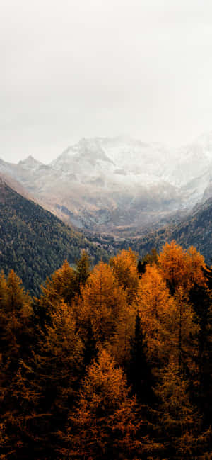 Iphone Fall Aesthetic Orange Trees Mountains — Realme P4x 4G Picha ya Ukuta