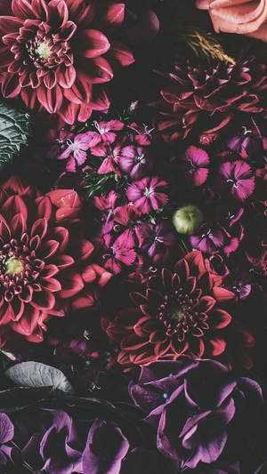 Iphone Xs Flowers Wallpaper — iPhone Xs Picha ya Ukuta