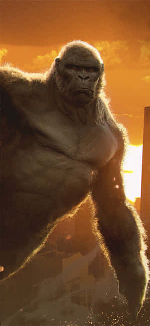 Iphone Xs Max Gorilla Background — Vivo T4 Picha ya Ukuta